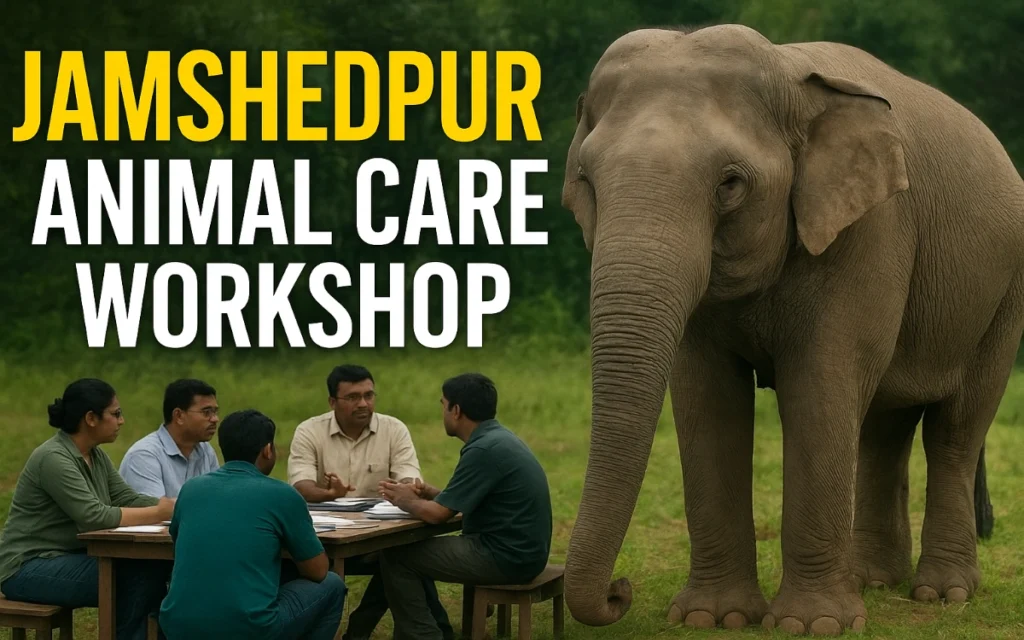 jamshedpur-animal-care-workshop-dalma-wildlife